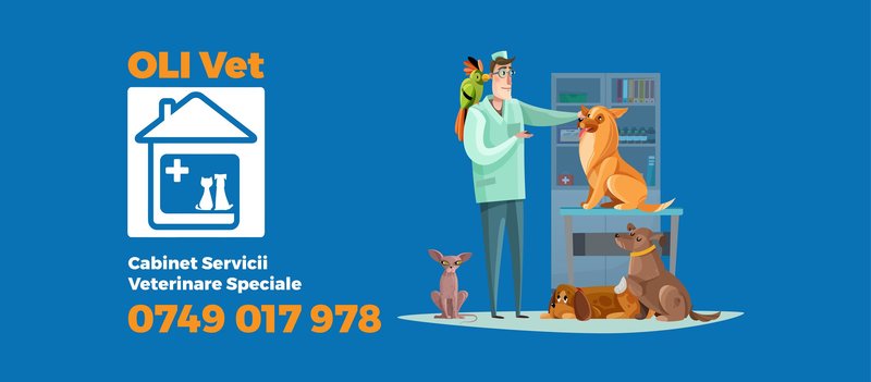 Oli Vet - Cabinet Veterinar